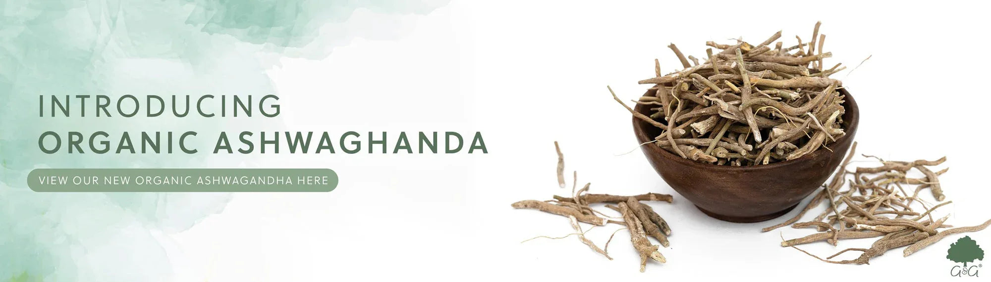 Ashwagandha Supplements - The Wellness Store®