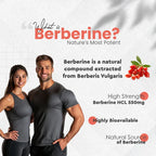 Vitaminnica Berberine HCL Capsules –1100 mg | Blood Sugar Balance, Metabolic Health & Weight Support | 60 Veg Capsules - The Wellness Store®