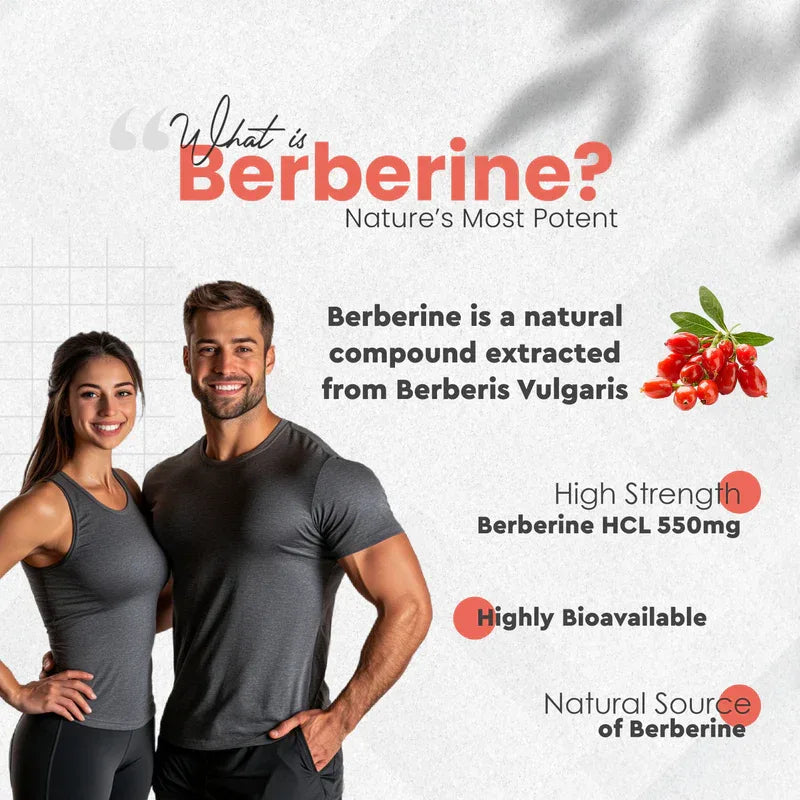 Vitaminnica Berberine HCL Capsules –1100 mg | Blood Sugar Balance, Metabolic Health & Weight Support | 60 Veg Capsules - The Wellness Store®
