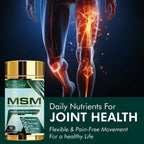 Vitaminnica Methyl Sulphonyl Methane (MSM)- 60 Capsules - The Wellness Store®