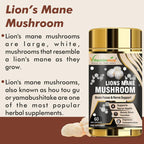 Vitaminnica Lions Mane Mushroom- 60 Capsules - The Wellness Store®