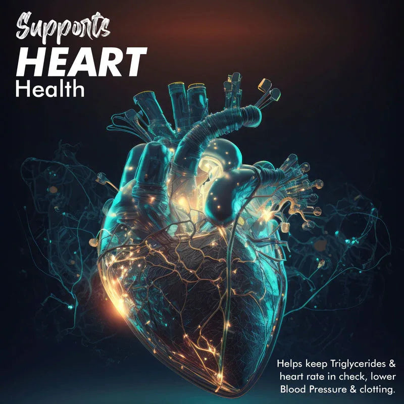 Vitaminnica Omega 3- Better Heart Health- 60 Softgels - The Wellness Store®