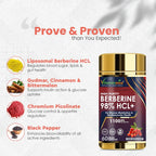 Vitaminnica Berberine HCL Capsules –1100 mg | Blood Sugar Balance, Metabolic Health & Weight Support | 60 Veg Capsules - The Wellness Store®