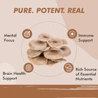 Vitaminnica Oyster Mushroom- 60 Capsules - The Wellness Store®