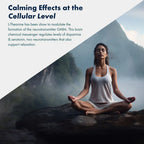Vitaminnica L-Theanine- 60 Capsules - The Wellness Store®