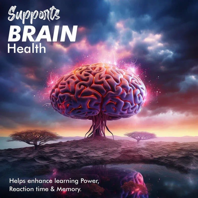 Vitaminnica Omega 3- Better Heart Health- 60 Softgels - The Wellness Store®