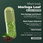 Vitaminnica Moringa Leaf – Superfood Capsules for Energy, Immunity & Balance 60 Capsules - The Wellness Store®