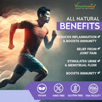 Vitaminnica Boswellia Serrata 2500mg (5:1 Extract)- 60 Vegan Capsules - The Wellness Store®
