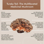 Vitaminnica Turkey Tail Mushroom- 60 Capsules - The Wellness Store®
