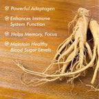 Vitaminnica Siberian Ginseng- 60 Capsules - The Wellness Store®