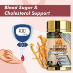 Vitaminnica Cordyceps Mushroom- 60 Capsules - The Wellness Store®