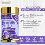 Vitaminnica Boswellia Serrata 2500mg (5:1 Extract)- 60 Vegan Capsules - The Wellness Store®