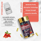 Vitaminnica Berberine HCL Capsules –1100 mg | Blood Sugar Balance, Metabolic Health & Weight Support | 60 Veg Capsules - The Wellness Store®