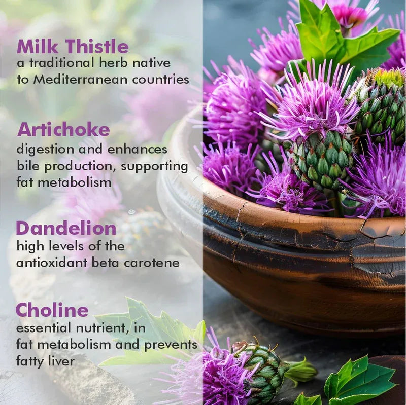 Vitaminnica Milk Thistle Complex- High Strength- 90 Capsules - The Wellness Store®