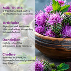 Vitaminnica Milk Thistle Complex- High Strength- 90 Capsules - The Wellness Store®