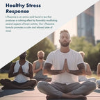 Vitaminnica L-Theanine- 60 Capsules - The Wellness Store®