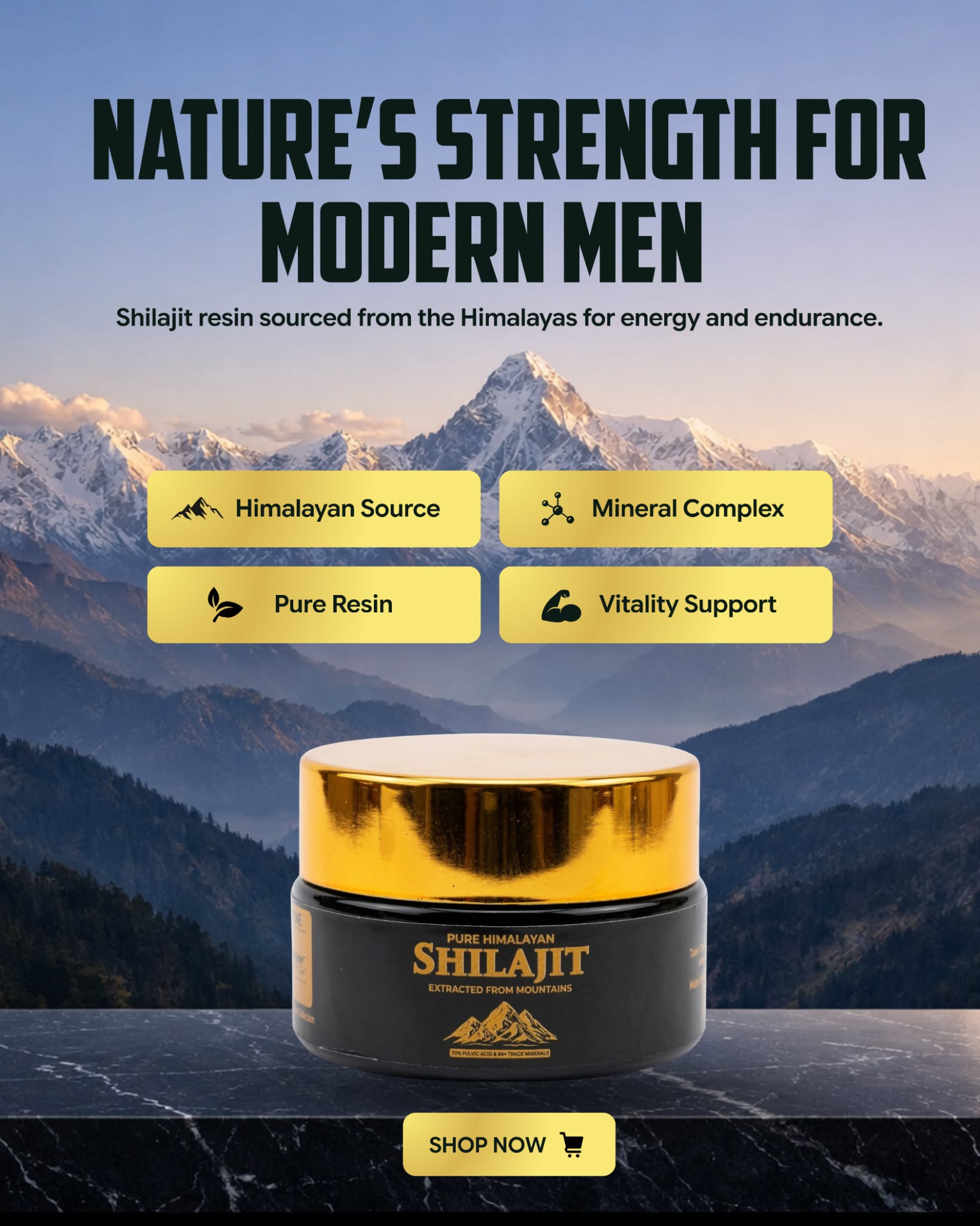 Pure Himalayan Shilajit – Premium Natural Resin – 20g