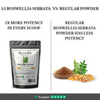 Oils & Herbs – High Strength Boswellia Serrata Extract Powder 5:1 - The Wellness Store®