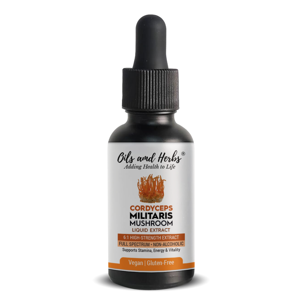 Oils & Herbs - Cordyceps Militaris Mushroom Liquid Extract – 6:1 High-Strength, Alcohol-Free