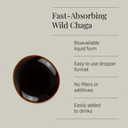 KIKI HEALTH - Chaga Extract Tincture, Organic - 50ml