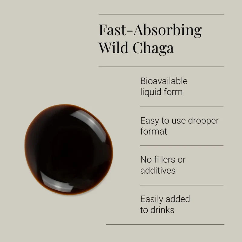 KIKI HEALTH - Chaga Extract Tincture, Organic - 50ml