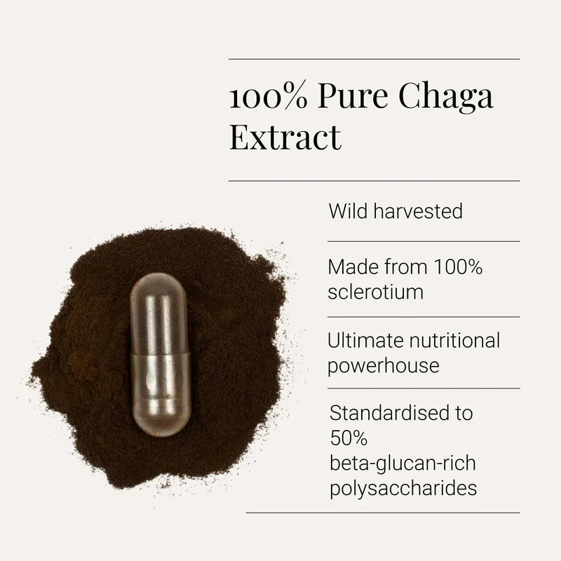 KIKI HEALTH - Chaga Extract, Organic - 60 Vegicaps