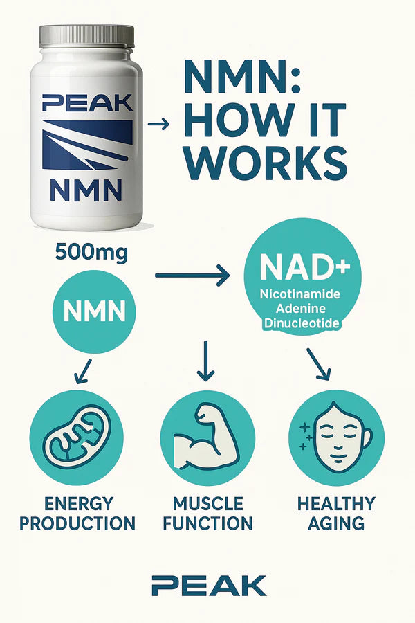 Peak State - Pure NMN Capsules 500mg - 60 Capsules
