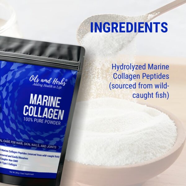 Oils & Herbs - 100% Pure Marine Collagen Powder - 100g