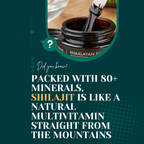 Pure Himalayan Shilajit – Premium Natural Resin – 20g