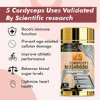 Vitaminnica Cordyceps Mushroom- 60 Capsules - The Wellness Store®