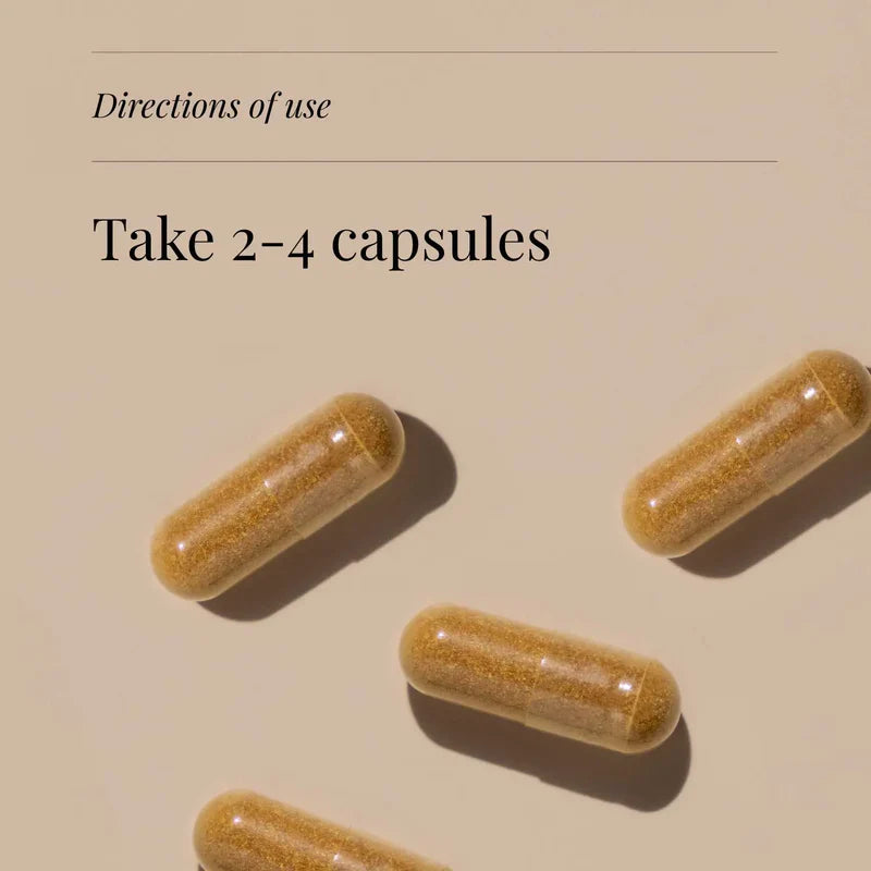 KIKI HEALTH - Cordyceps Extract, Organic - 60 Vegicaps