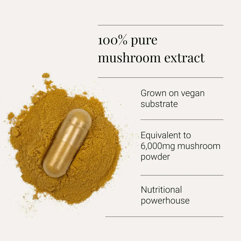 KIKI HEALTH - Cordyceps Extract, Organic - 60 Vegicaps