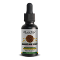 Oils & Herbs - Dandelion Root Liquid Extract – High-Strength, Alcohol-Free