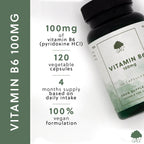 G&G Vitamins - Vitamin B6 100mg - 120 Vegan Capsules