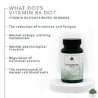 G&G Vitamins - Vitamin B6 100mg - 120 Vegan Capsules