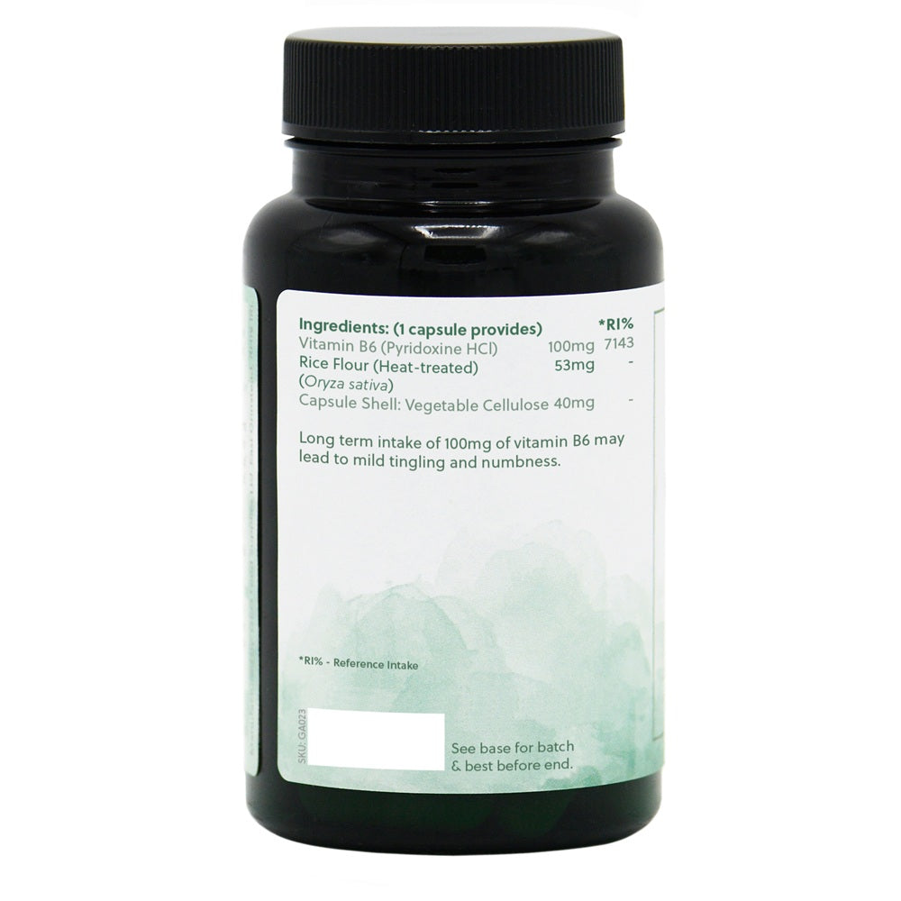 G&G Vitamins - Vitamin B6 100mg - 120 Vegan Capsules