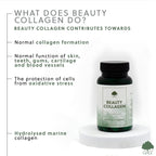 G&G Vitamins – Beauty Collagen – 60 Capsules
