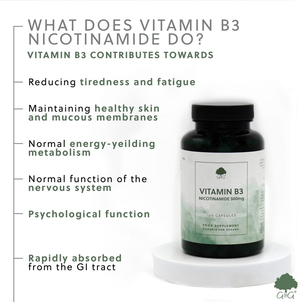 G&G Vitamins - Vitamin B3 Nicotinamide 500mg - 120 Vegan Capsules