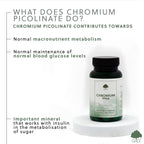 G&G Vitamins - Chromium Picolinate 200mcg - 60 Vegan Capsules