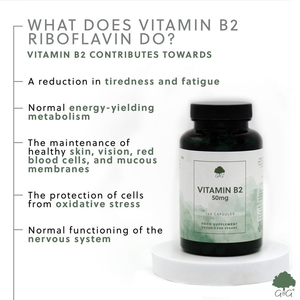 G&G Vitamins - Vitamin B2 Riboflavin 50mg - 120 Vegan Capsules