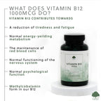 G&G Vitamins - Vitamin B12 1000mcg - 120 Vegan Capsules