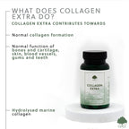 G&G Vitamins – Collagen Extra – 60 Capsules