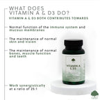 G&G Vitamins - Vitamin A & D3 Complex - 120 Vegan Capsules