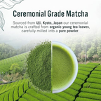 Green Origins – Organic Japanese Ceremonial Matcha Green Tea Powder – 30g