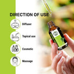 Oils & Herbs – Lemon grass essential oil – 100% Pure and Natural - The Wellness Store®