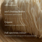 KIKI HEALTH - Lion's Mane Extract Tincture, Organic - 50ml
