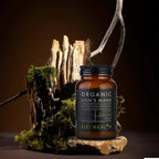 KIKI HEALTH - Lion's Mane Extract, Organic - 50g