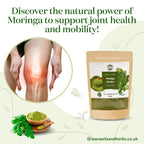 Oils & Herbs - 100% Organic Green Moringa Powder - 100g Powder