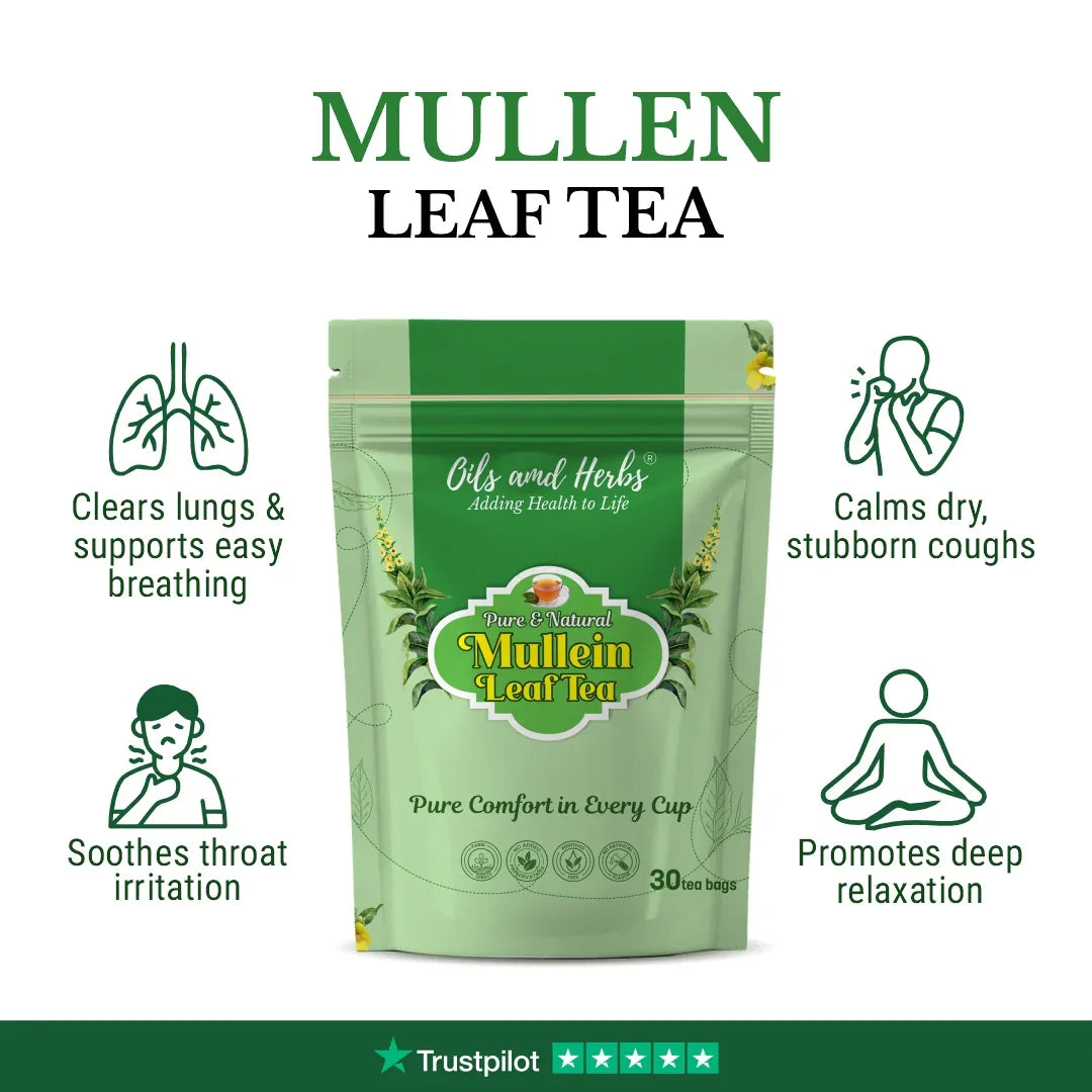 Oils & Herbs – Mullein Tea – Pure & Natural Herbal Infusion - The Wellness Store®