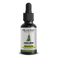 Oils & Herbs - Mullein Leaf Tincture – Alcohol-Free Liquid Extract